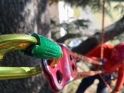 CORSO DI TREE CLIMBING – OPERATORI ADDETTI AI SISTEMI DI ACCESSO E POSIZIONAMENTO MEDIANTE FUNI PER LAVORI SU ALBERI